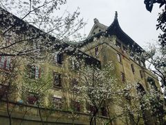 -武汉大学-樱园