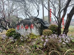 -无锡梅园公园