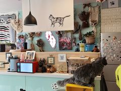 大堂-平行世界·猫咖(首经贸店)
