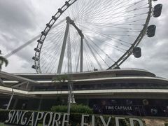-新加坡摩天观景轮