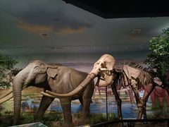 -湖南省地质博物馆
