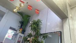 -东方美妍小鹏造型