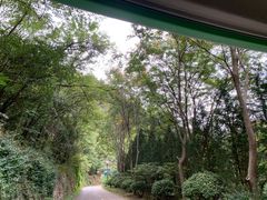 -秦岭终南山世界地质公园翠华山景区
