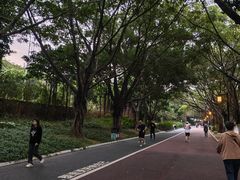 -南宁南湖公园
