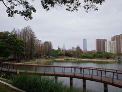-四海公园(南山区)