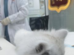 -美美宠物诊疗中心·异宠·骨科(滨江东信分院)