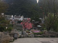 -新世纪酒店(阳朔西街店)