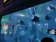 -南昌海洋公园