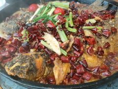 -老板恋上鱼(恒隆广场店)