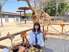 -灵玲国际马戏城