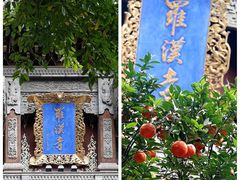 -罗汉寺