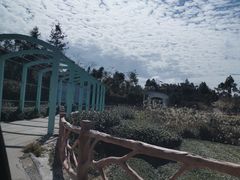 -军营村