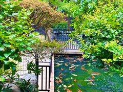 -新世纪大酒楼·30年南海菜