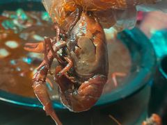 -七裕庄(凯旋南路店)