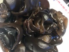 木耳-老佛爷炭火蛙锅直营(清滨路总店)