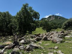 -克什克腾世界地质公园青山景区