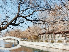 -元大都城垣遗址公园