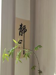 -梦白空间瑜伽馆