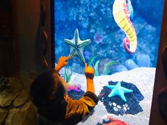 -沈阳海洋探索中心