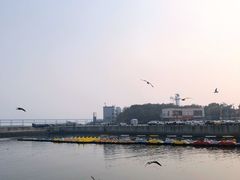 -大连圣亚海洋世界