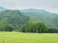 -石台牯牛降景区
