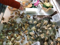 -盒马鲜生(莱蒙都会店)