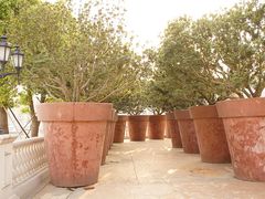 -平湖九龙山庄园圣马可酒店