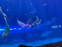 -华夏文旅海洋公园