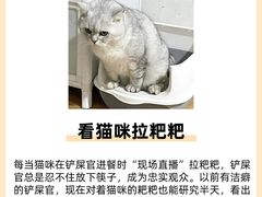 -美联众合动物医院·24h转诊中心