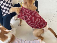 -怪兽屋·羊驼·猫咖·狗咖(俊华广场店)