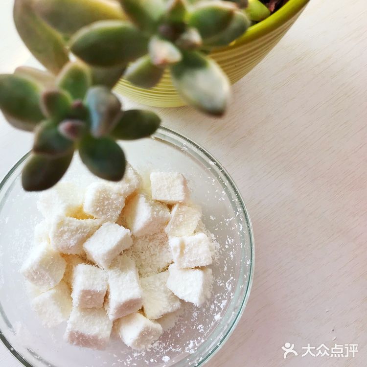 自家製|Q彈Q彈的椰奶小方🥥零難度‼️手殘黨也能做✅