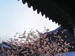 -拙政园