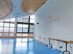 -西安小天鹅艺术团(曲江Alice店)