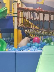 -Mollyfantasy莫莉幻想(重庆袁家岗喜盈门范城店)