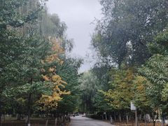 -长白岛森林公园