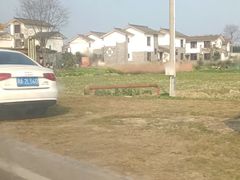 -桤木河湿地公园