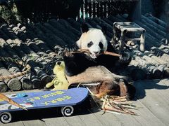 -大连森林动物园