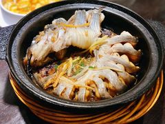 旱蒸剑齿鱼-桂客膳房·珍品堂