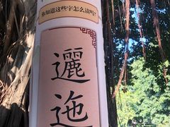 -荔湾湖公园