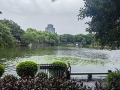 -荔湾湖公园