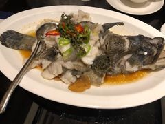 青花椒蒸龙胆鱼-闽和南(深圳万象城店)