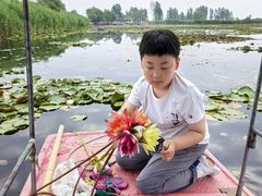 -白洋淀景区