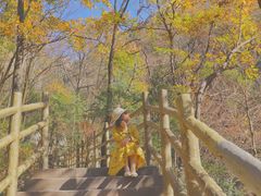 -罗田天堂寨风景区