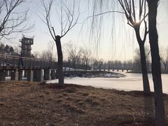 -东郊湿地公园