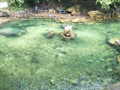 景点-鼎湖山风景区