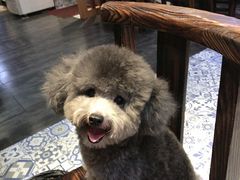 -爱诺耐芙动物医院(万博店)