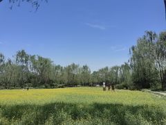-北坞公园
