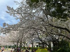 -新虹桥中心花园