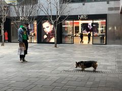 -喜茶(北京三里屯太古里店)