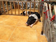 -HERRE·FARM 赫尔露营农场·团建聚会包场